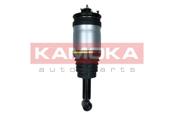 Air Suspension Strut 2070026