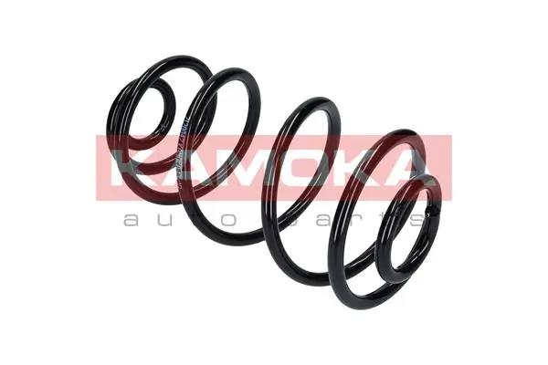 Suspension Spring 2120047