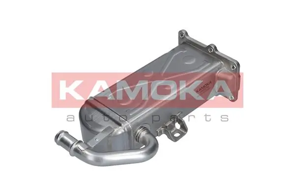 Cooler, exhaust gas recirculation 19C072