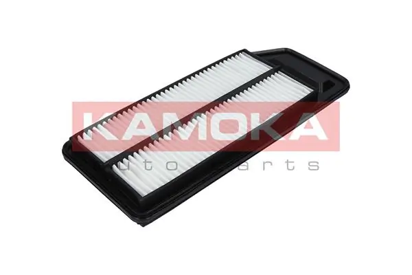 Air Filter F225301