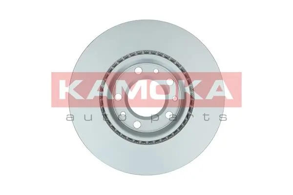 Brake Disc 1031082