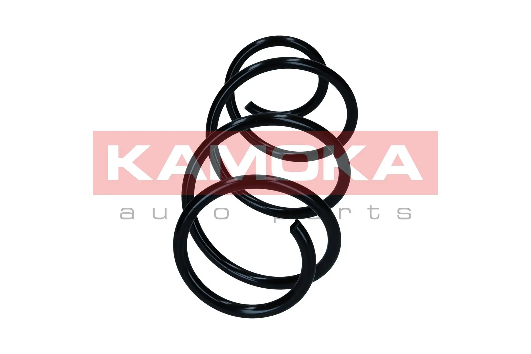 Suspension Spring 2110723