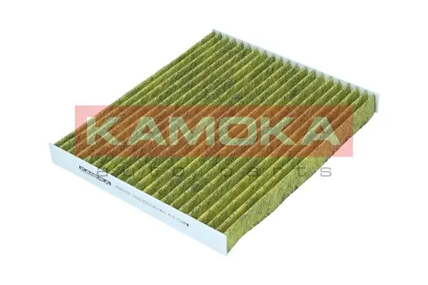 Filter, cabin air 6080158