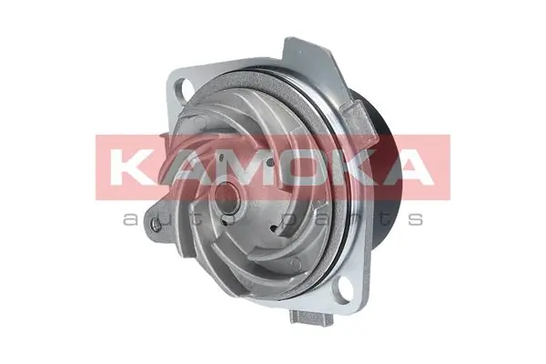 Water Pump, engine cooling T0001