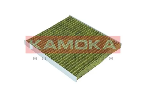 Filter, cabin air 6080074