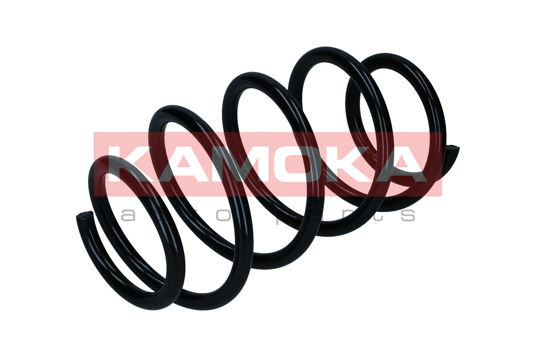 Suspension Spring 2110652