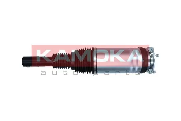 Air Suspension Strut 2070009