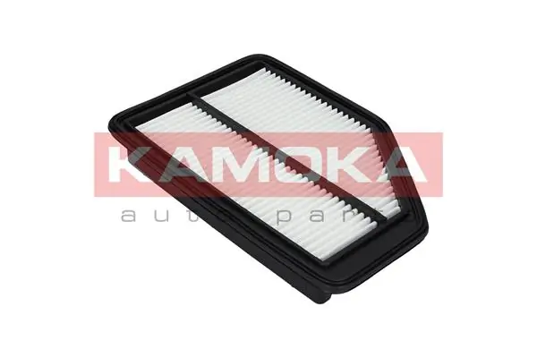Air Filter F225801