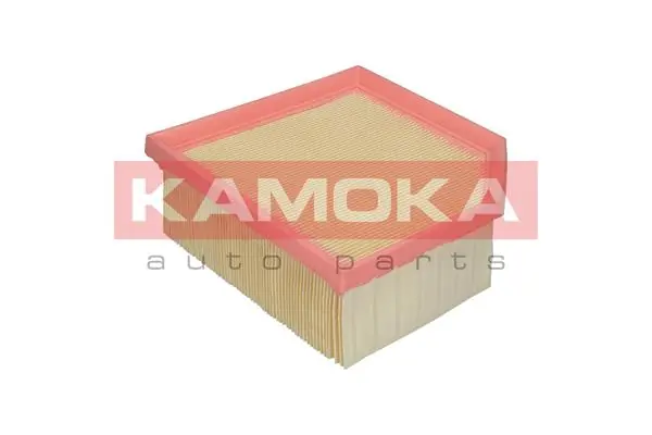 Air Filter F228301