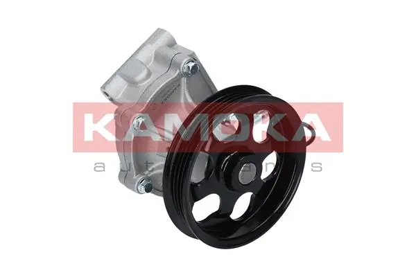 Water Pump, engine cooling T0266