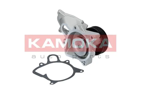 Water Pump, engine cooling T0173
