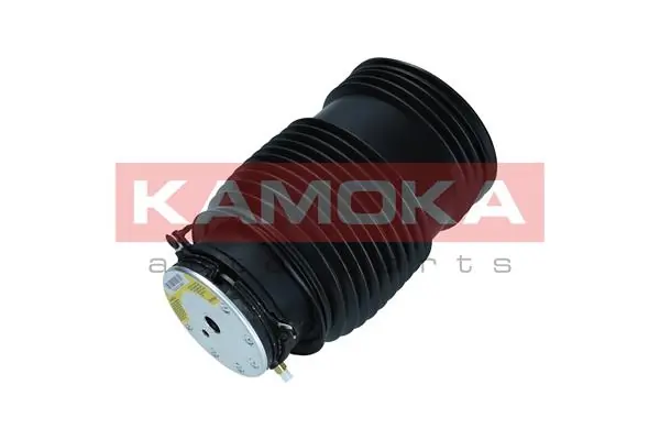 Air Spring, suspension 2079048