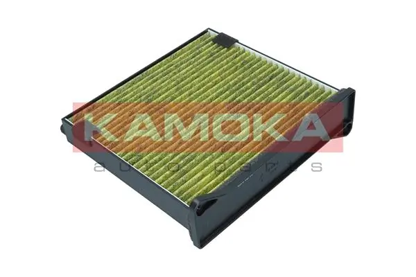 Filter, cabin air 6080052