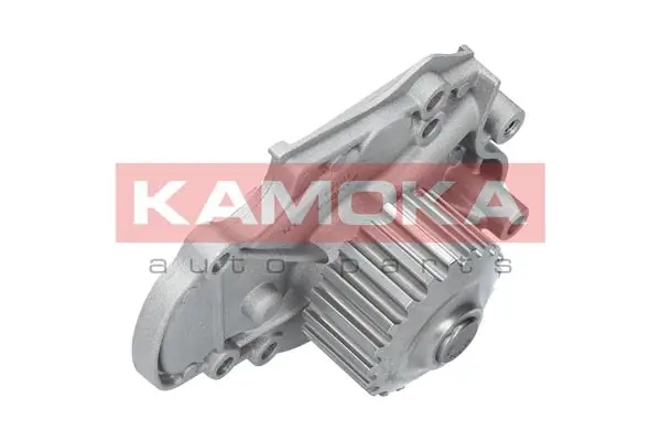 Water Pump, engine cooling T0144