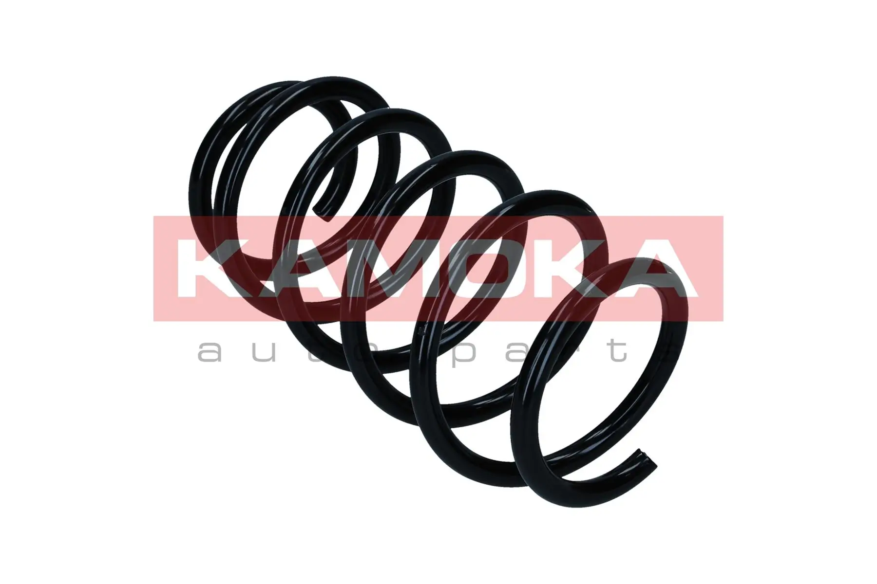 Suspension Spring 2110670