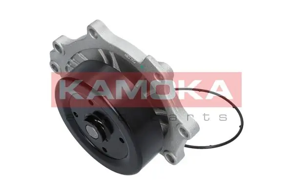 Water Pump, engine cooling T0176