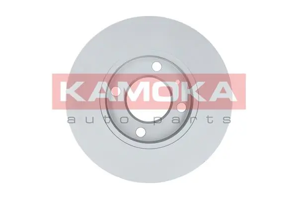 Brake Disc 1031624