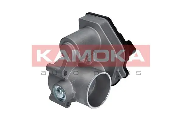 Throttle Body 112024