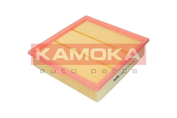 Air Filter F246601