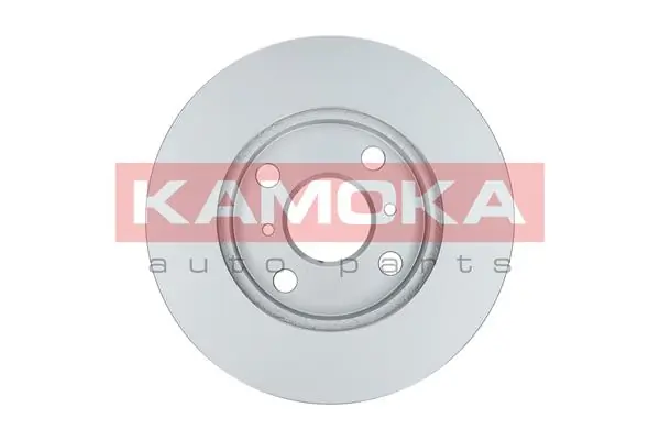 Brake Disc 1032092