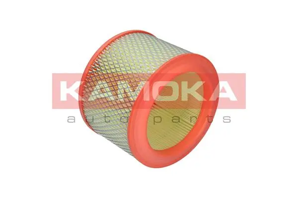 Air Filter F209701