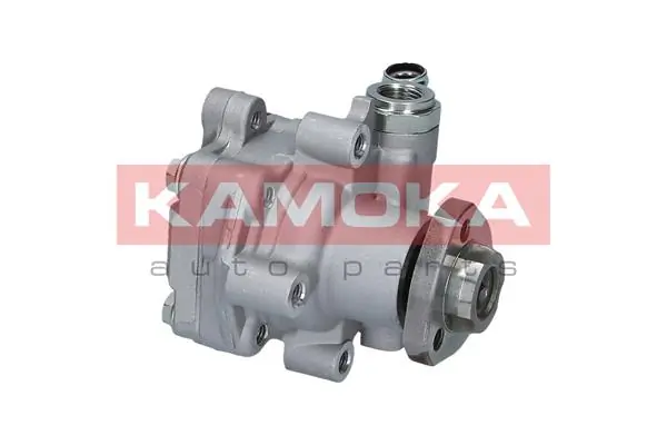 Hydraulic Pump, steering PP197