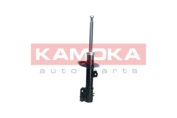 Shock Absorber 2001139