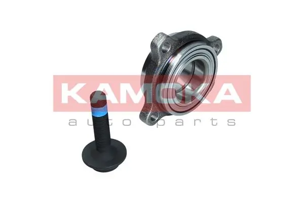 Wheel Bearing Kit 5500173