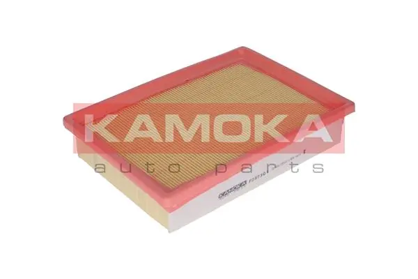 Air Filter F237301