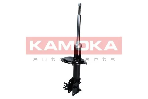 Shock Absorber 2000425