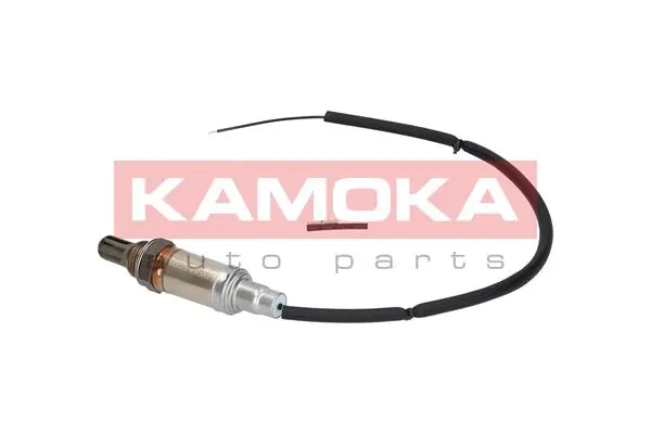 Oxygen Sensor 17001