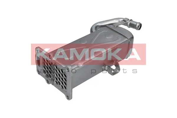 Cooler, exhaust gas recirculation 19C072