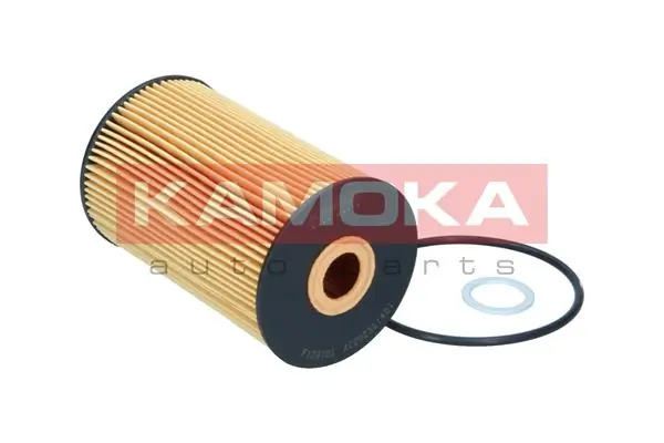 Oil Filter F129701