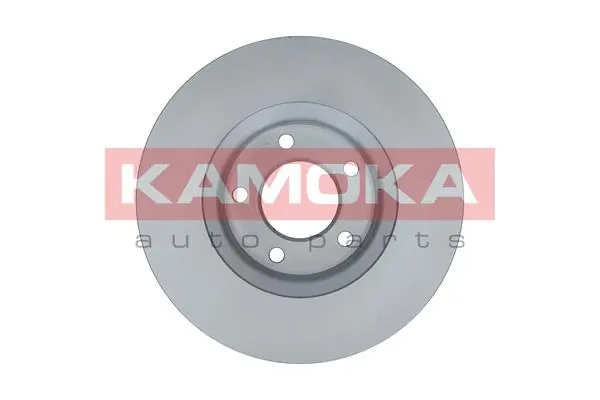 Brake Disc 103269