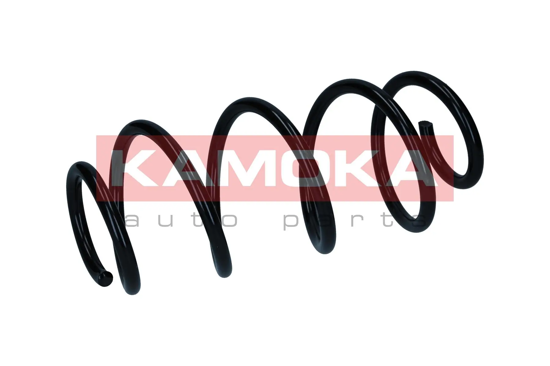 Suspension Spring 2110836