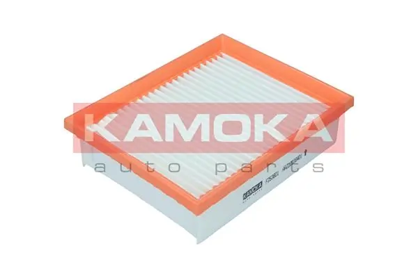 Air Filter F253801