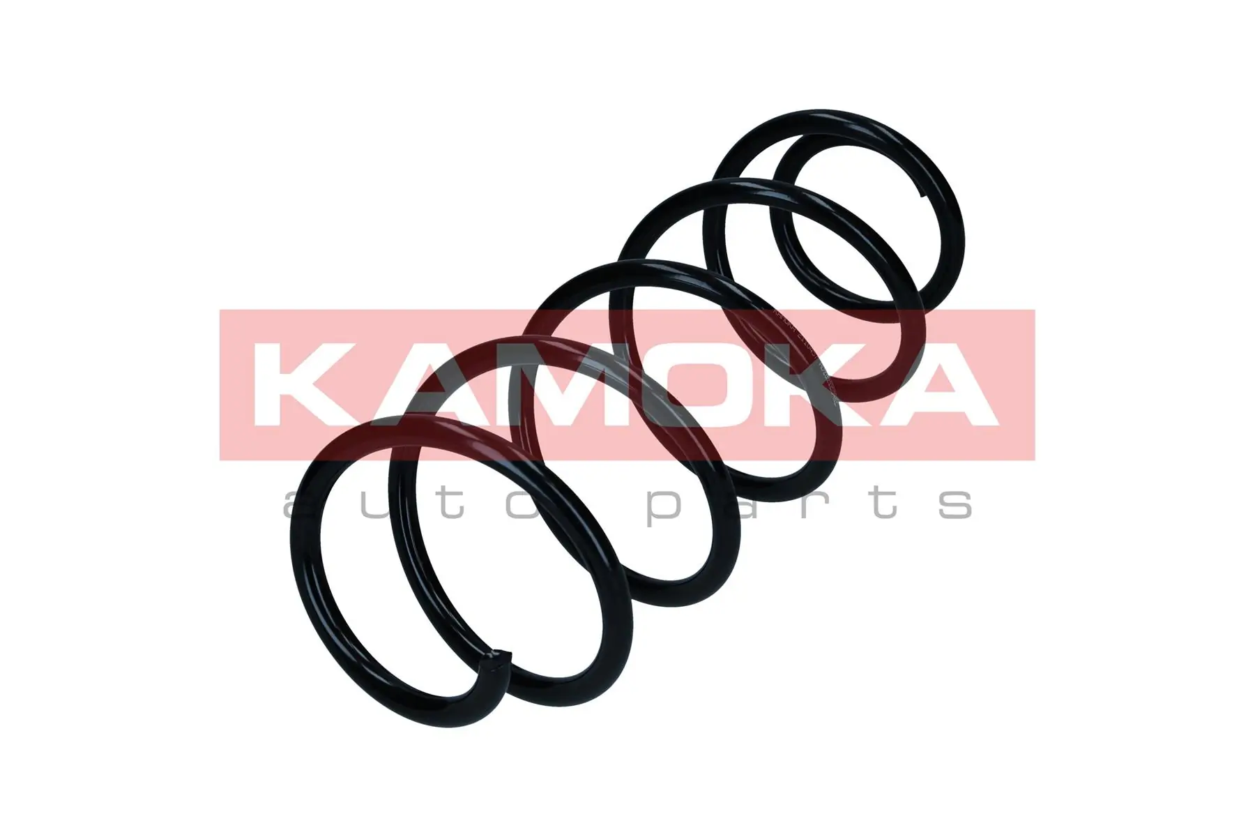 Suspension Spring 2110457