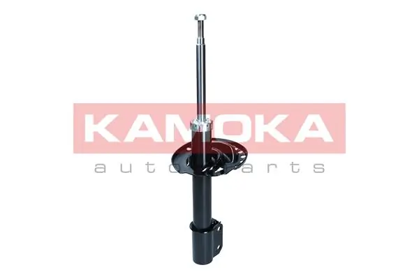 Shock Absorber 2000091
