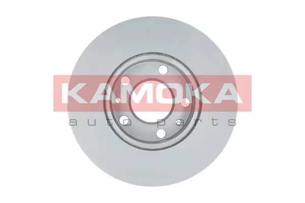 Brake Disc 1031534
