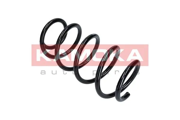 Suspension Spring 2110303