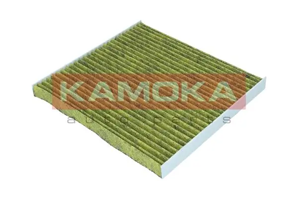 Filter, cabin air 6080156