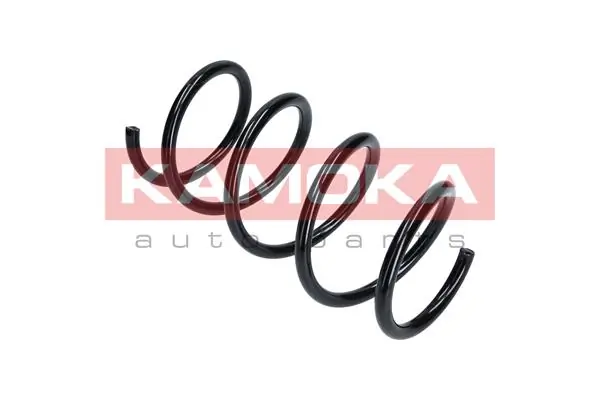 Suspension Spring 2110295