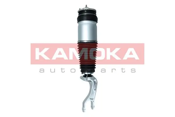 Air Suspension Strut 2070007