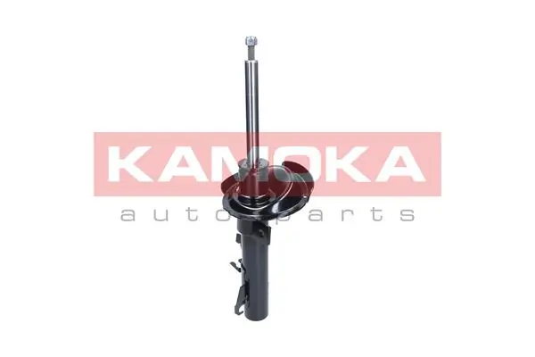 Shock Absorber 2000393