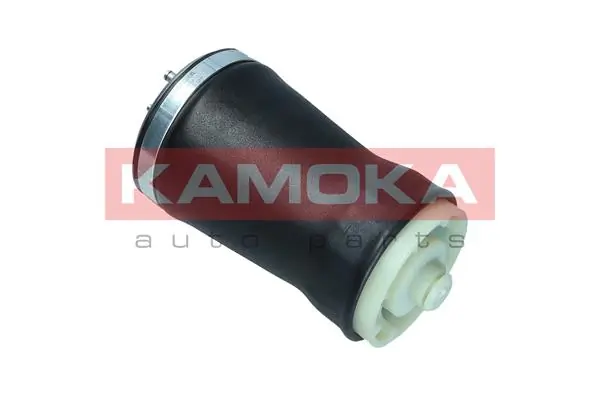 Air Spring, suspension 2079022