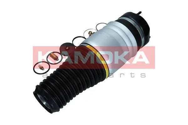 Air Spring, suspension 2079027