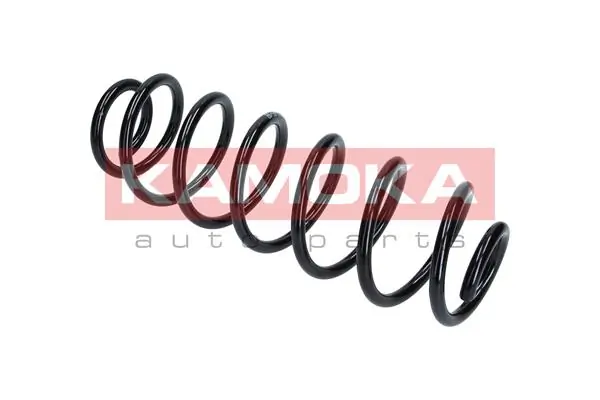 Suspension Spring 2120253