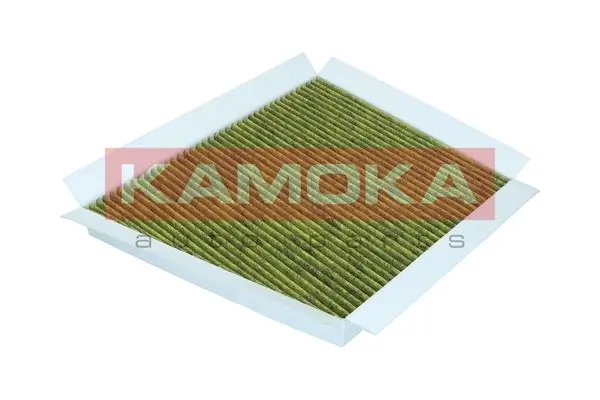 Filter, cabin air 6080028