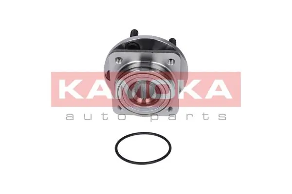 Wheel Bearing Kit 5500057