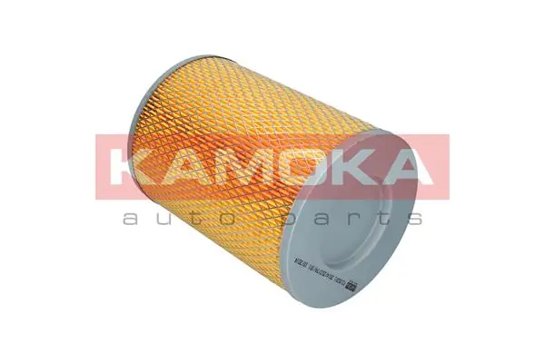 Air Filter F224601